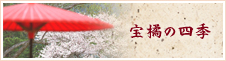 宝橘の四季